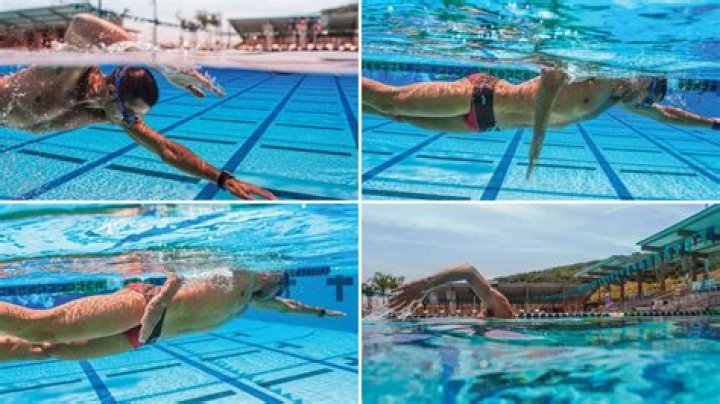 What is the correct freestyle stroke?