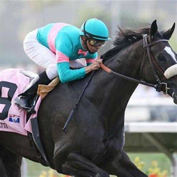 What is the hardiest horse?