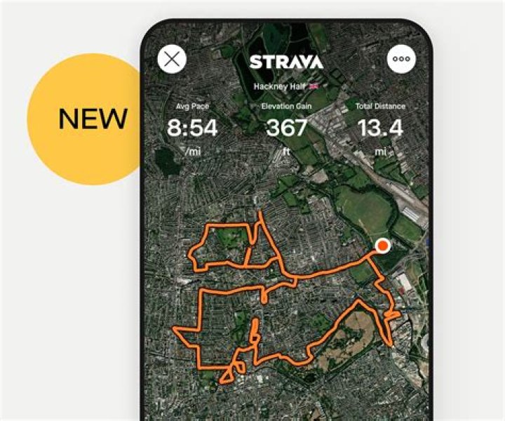 What is the highest Fitness on Strava?