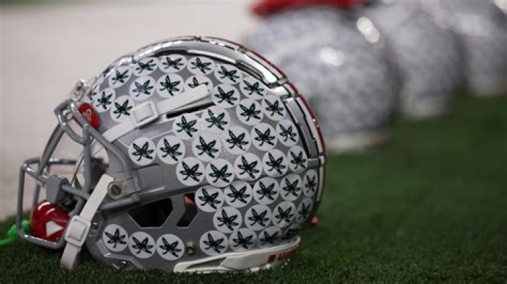 What is the leaf on Ohio State's helmet?