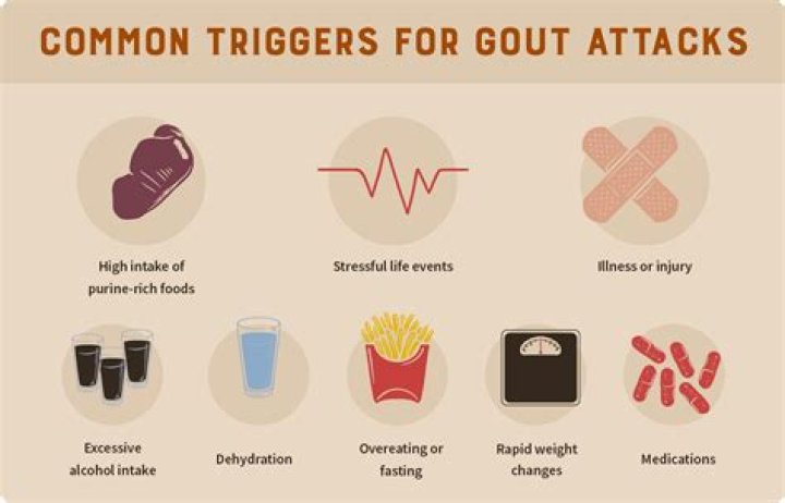 What is the major cause of gout?