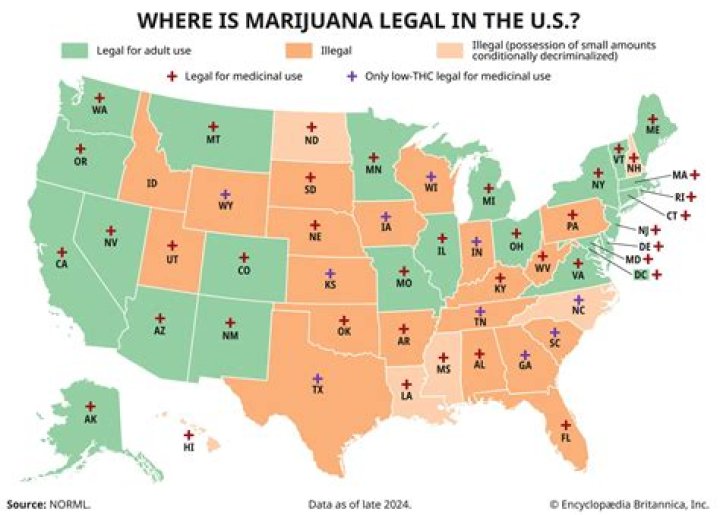 What is the most illegal plant?