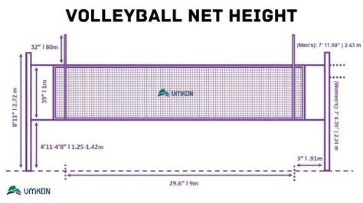 What is the net height?