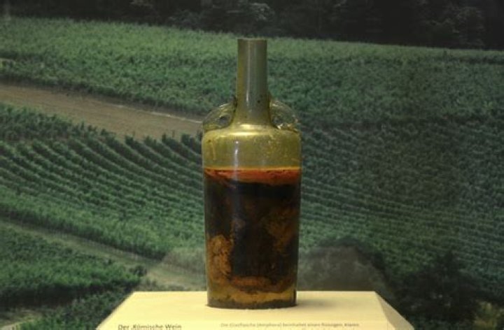 What is the oldest wine in the world?