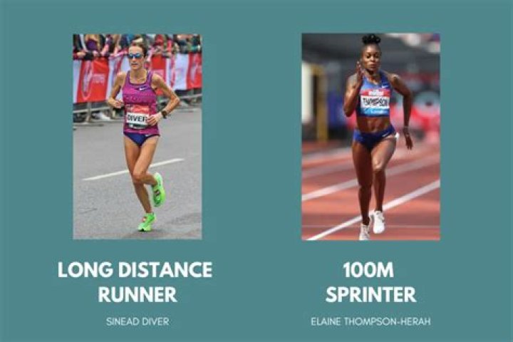 What is the runner's high?
