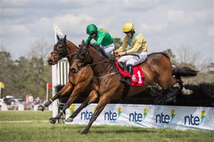 What is the steeplechase race in the Olympics?
