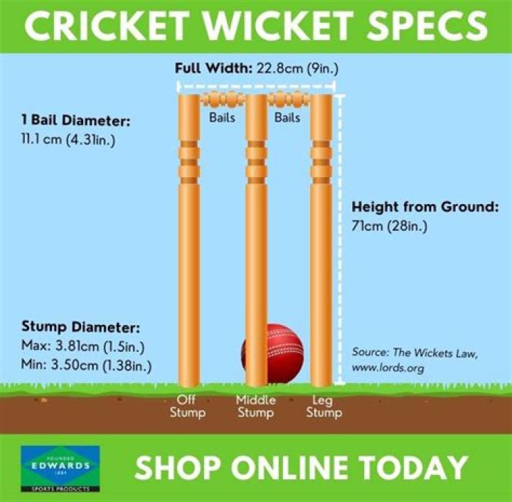 What is the top of a cricket stump called?