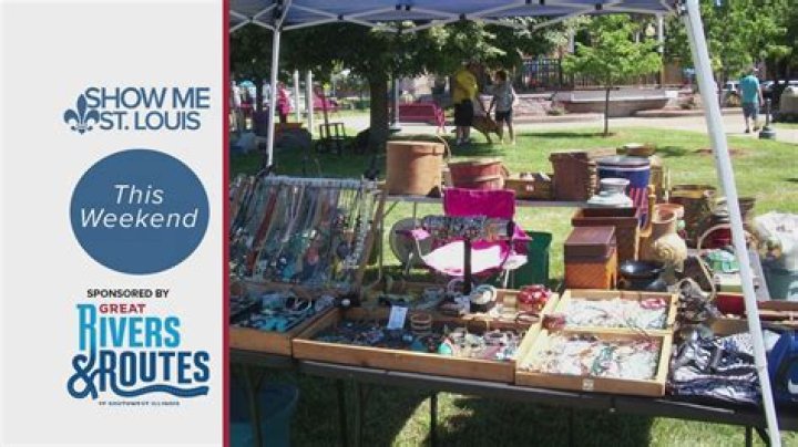 What is the USTA pro circuit?