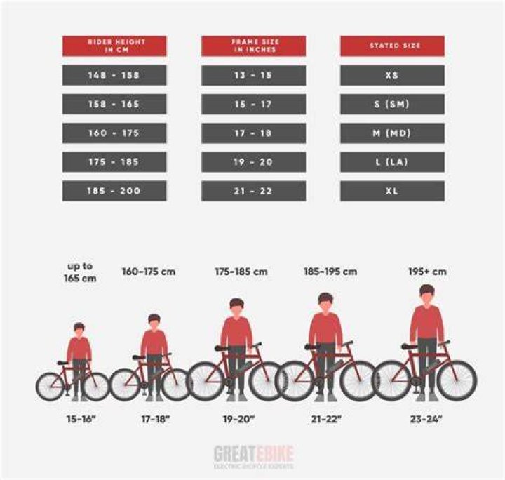What is the weight limit for a 29 inch bike?