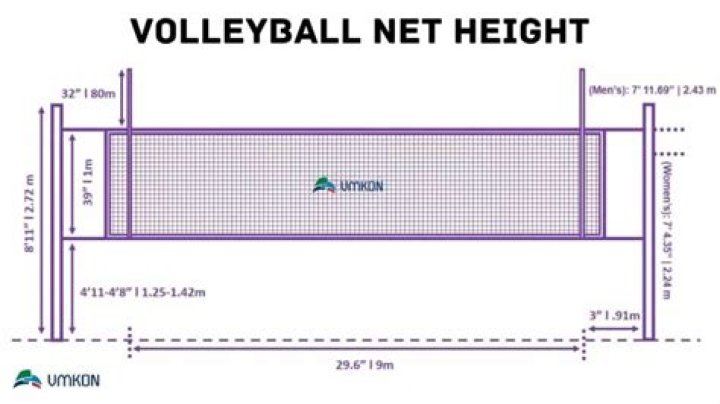 What is the width of a volleyball net?