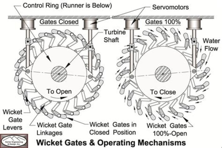What is Zing wicket system?
