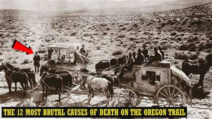 What killed more people on the Oregon Trail?