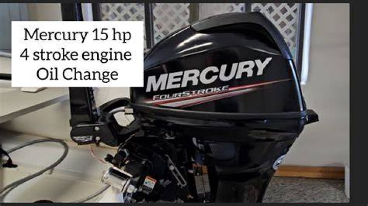 What kind of oil does a Mercury 115 2-stroke take?