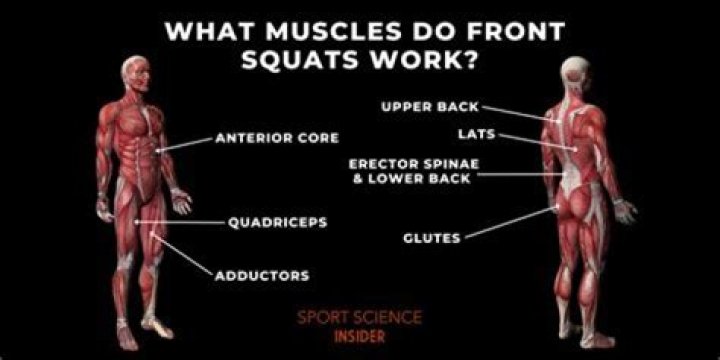 What muscles are needed for Muay Thai?