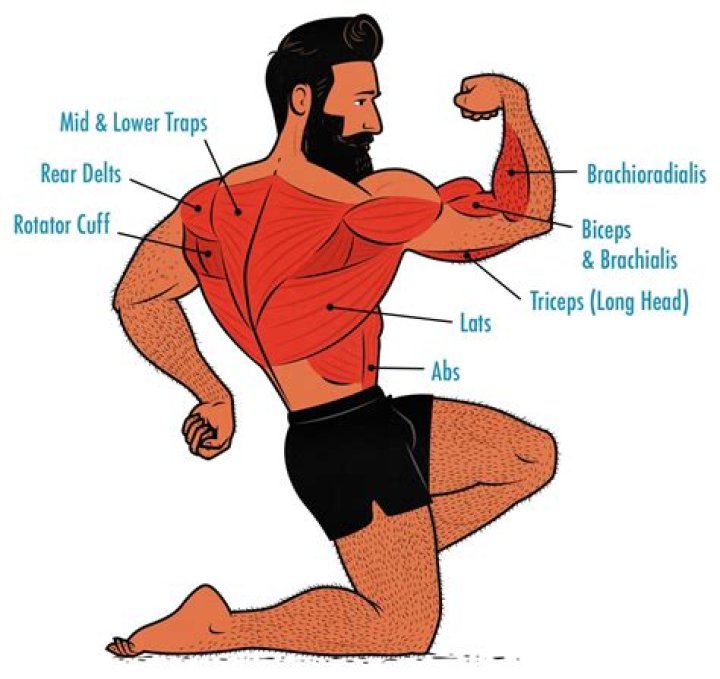 What muscles does aerial hoop work?