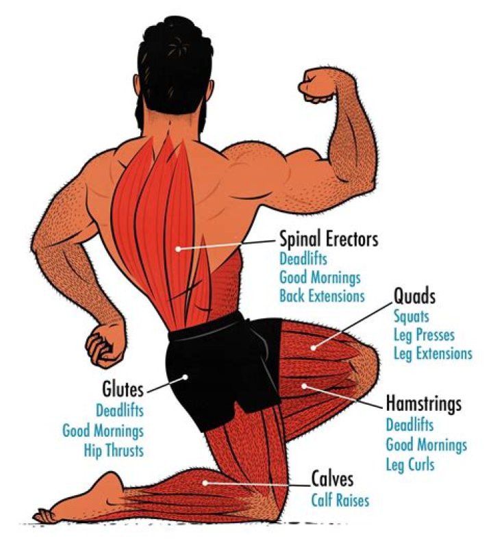 What muscles to train before skiing?