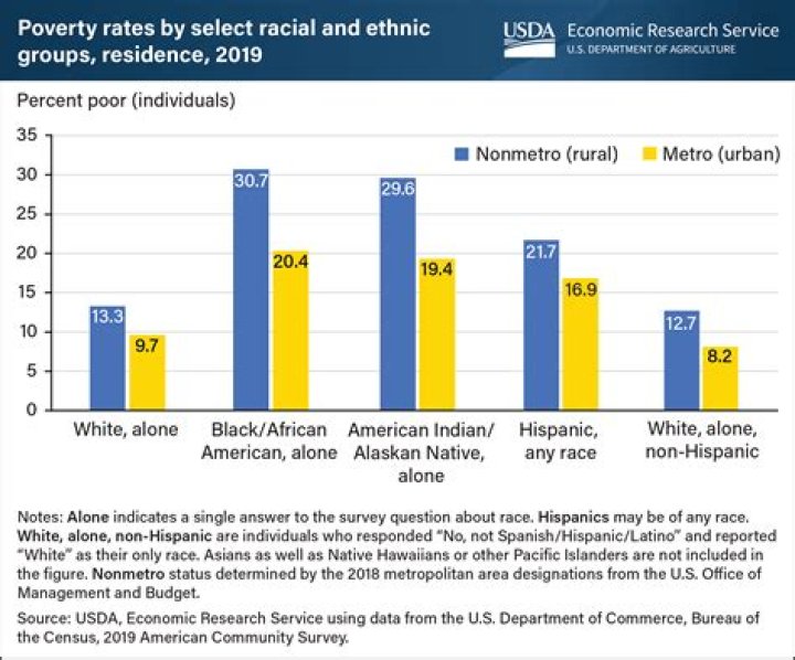 What percent of black Americans are in poverty today quizlet?