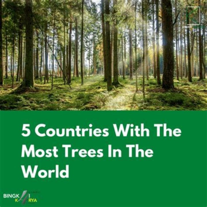 What place on earth has the most trees?