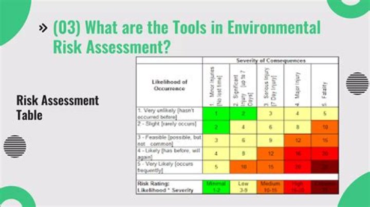 What should an environmental risk assessment include?
