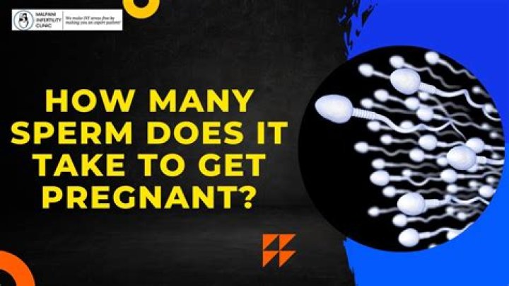 What type of sperm can pregnant a woman?