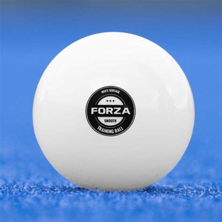 What's a hockey ball called?