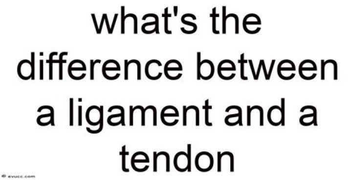What's the difference between a ligament and a tendon?