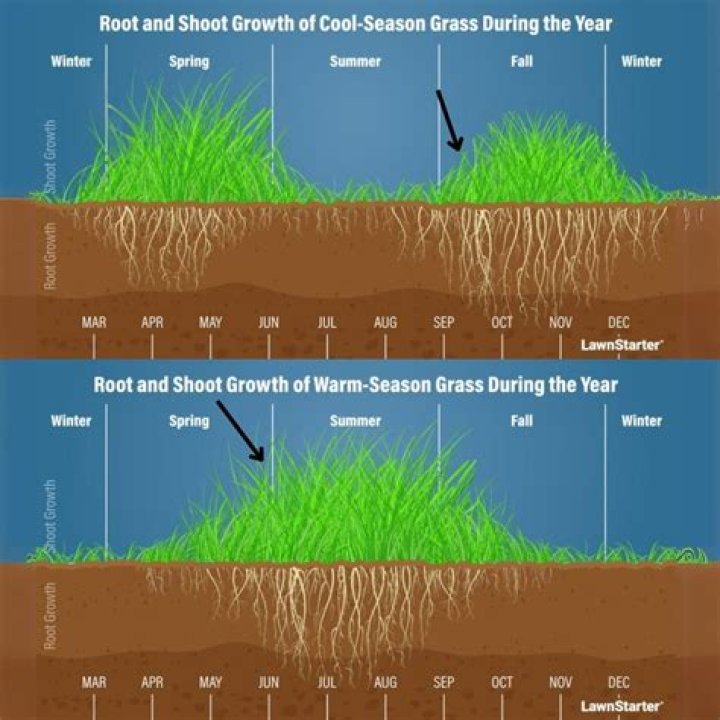 When should I put grass seed in the spring?