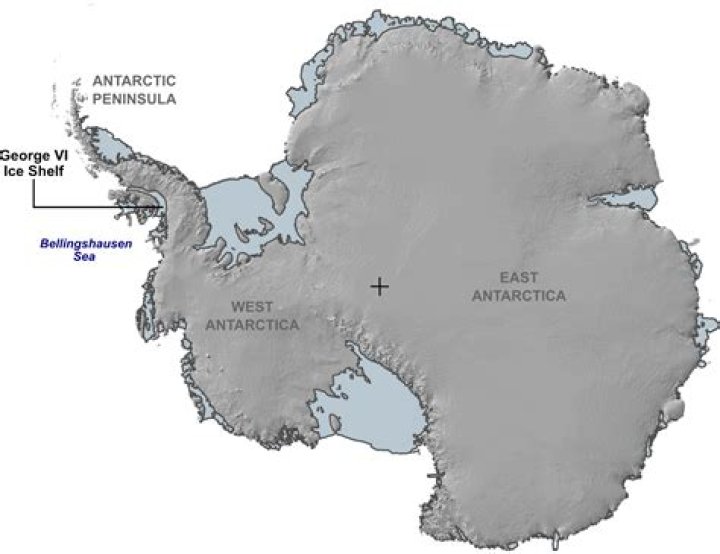 When was Antarctica ice free?