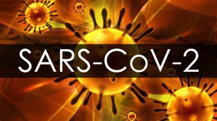 When was the official name of SARS-CoV-2 announced?