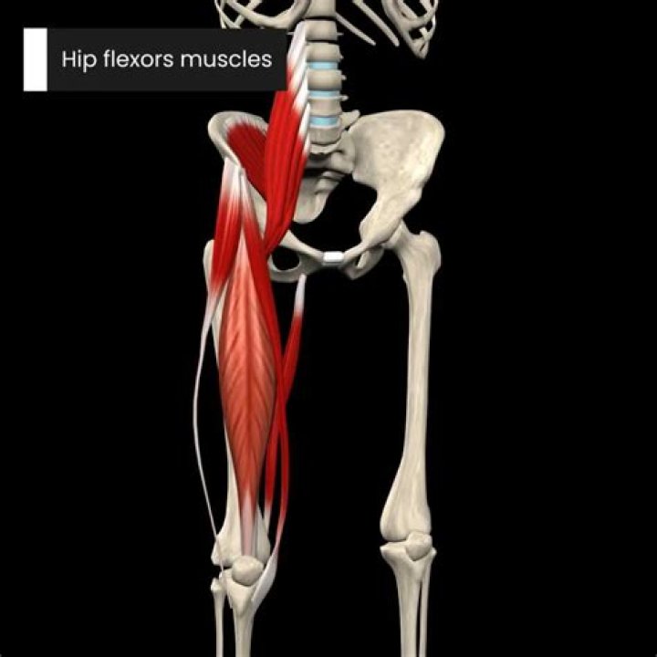 Where is the hip flexor muscle located?