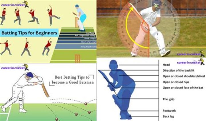 Which batsman has best batting stance?