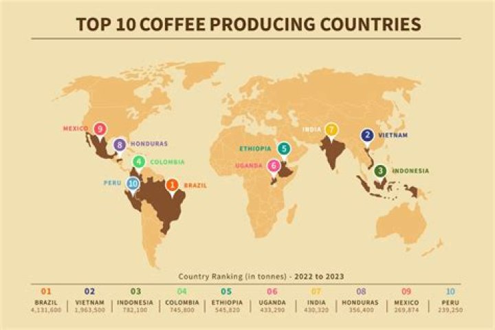 Which country produces the most coffee in the world 2022?