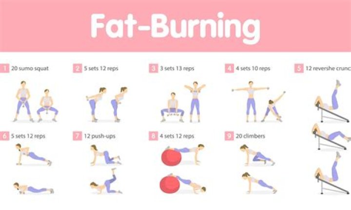 Which exercises burn the most fat?