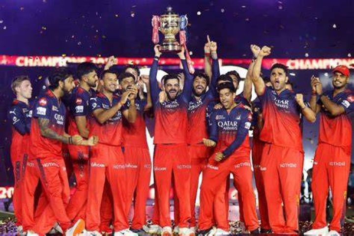 Which IPL team has most fans RCB?