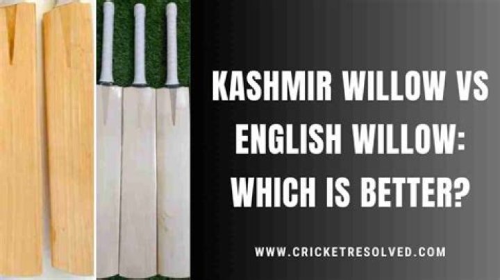 Which is best bat Kashmir willow or English willow?