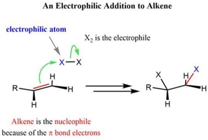 Which is the correct order for ease of electrophilic addition on these alkenes?