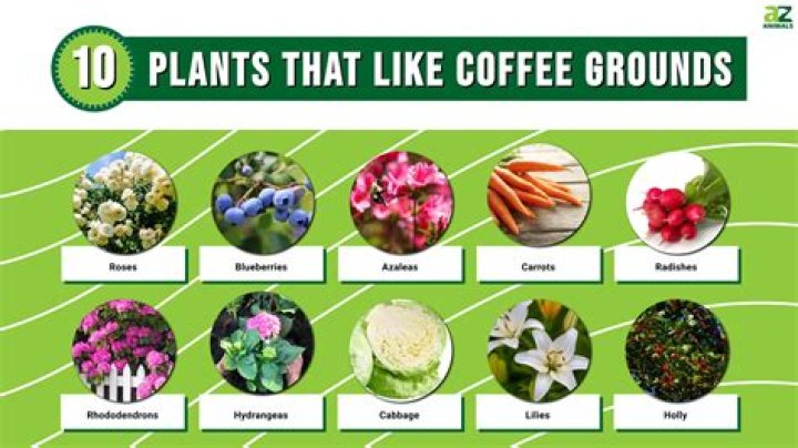 Which plants like straw?