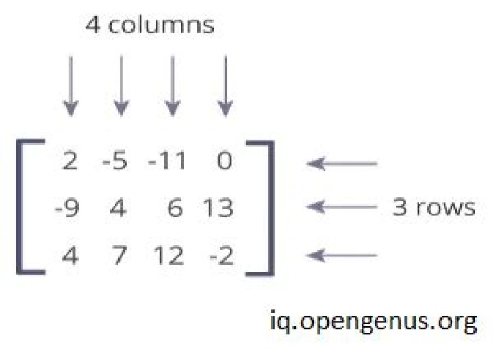 Which software is used to Organise data in the form of rows and columns and perform calculations on it?