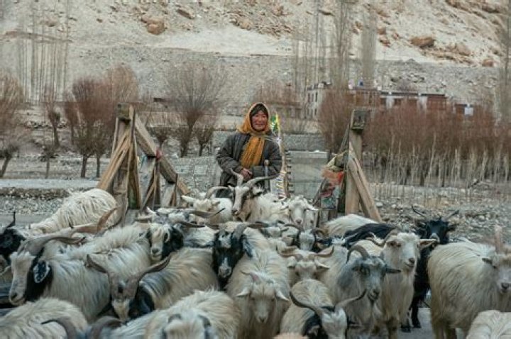 Who are nomads Why is there life difficult?