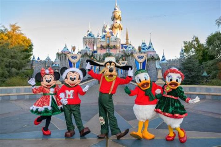 Who is the rarest character in Disneyland?