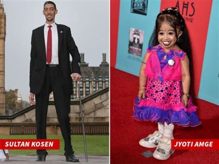 Who is the shortest man in cricket?