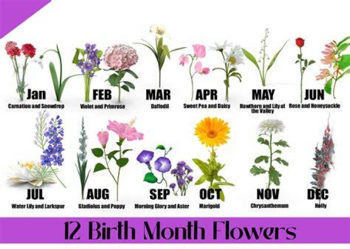 Who named the 12 months?
