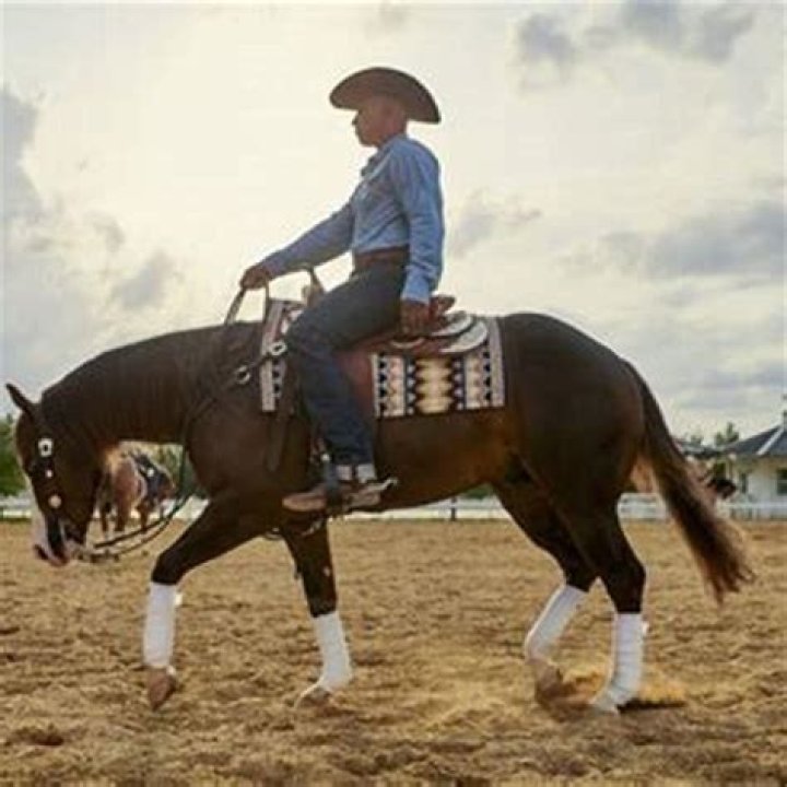 Who owns the horses on Yellowstone?
