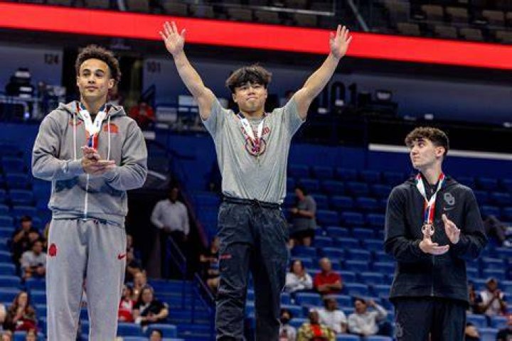 Who won gold on vault?