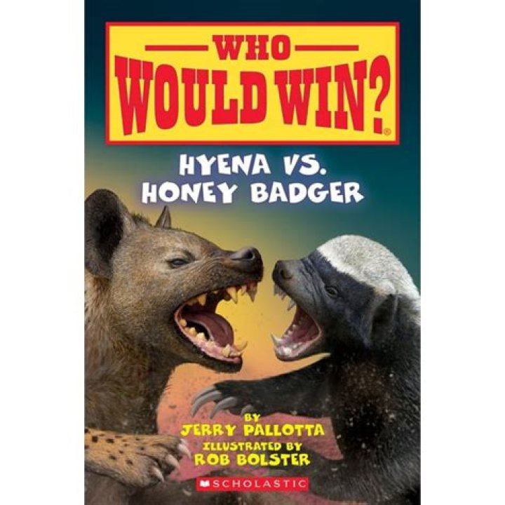 Who would win a honey badger or a lion?