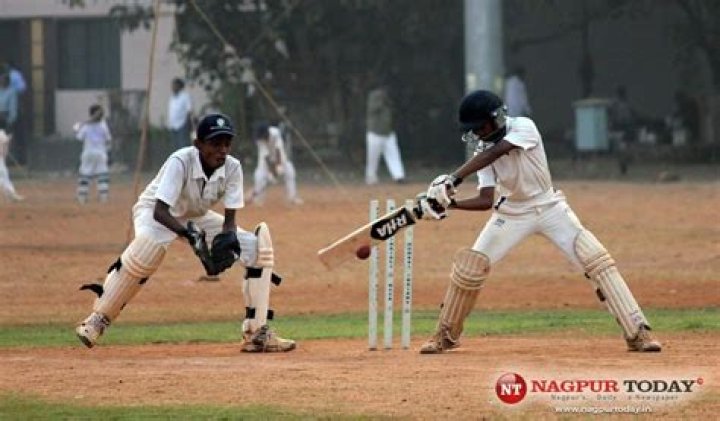 Why cricket is so popular in India?