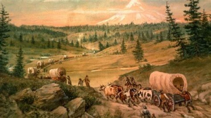 Why didn't most pioneers ride in their wagons?