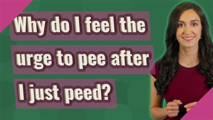 Why do I feel like I have to pee after I already peed female Not UTI?