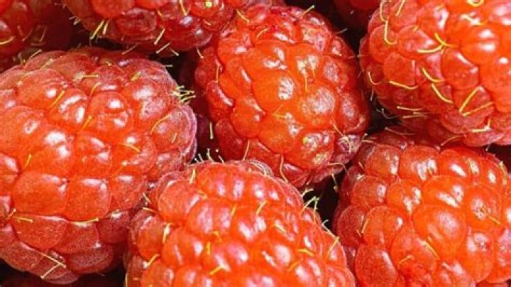 Why do raspberries have hair?