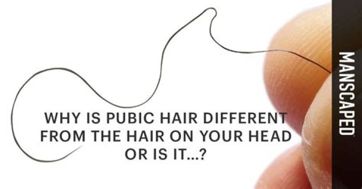 Why do we have pubic hair?